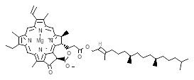 Strukturformel (479-61-8)