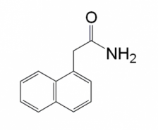 1-Naphthylacetamide