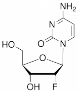 2'-Deoxy-2'-fluoro Cytidine