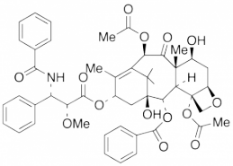 2'-O-Methyl Paclitaxel