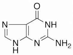 2-Amino-1,9-dihydro-6H-purin-6-one
