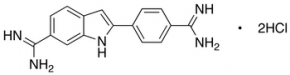 4',6-Diamidino-2-phenylindole Dihydrochloride