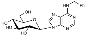 6-Benzylaminopurine 9-(alpha-D-glucoside)