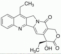 7-Ethyl Camptothecin