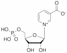 beta-Nicotinic Acid Mononucleotide