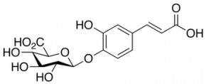 Caffeic Acid 4-beta-D-Glucuronide