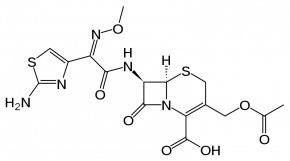 Cefotaxime