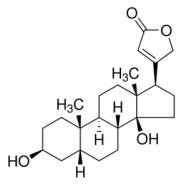 Digitoxigenin