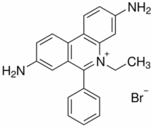 Ethidium Bromide