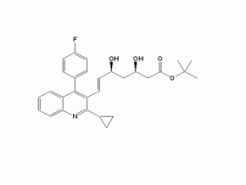 Pitavastatin t-Butyl Ester