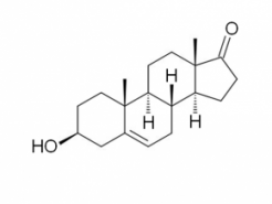Prasterone