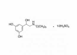 Terbutaline hemisulfate salt