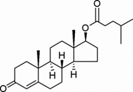 Testosterone Isocaproate