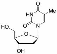 Thymidine