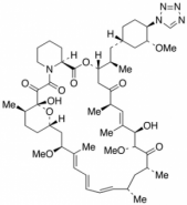 Zotarolimus